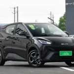 نمایی از Seagull BYD